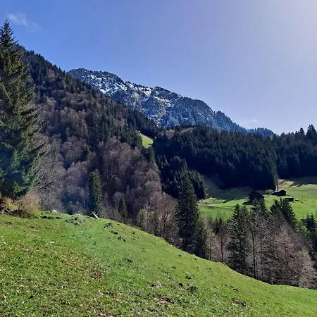 Casa vacanze Ulmi's Tiny Haus Dalaas