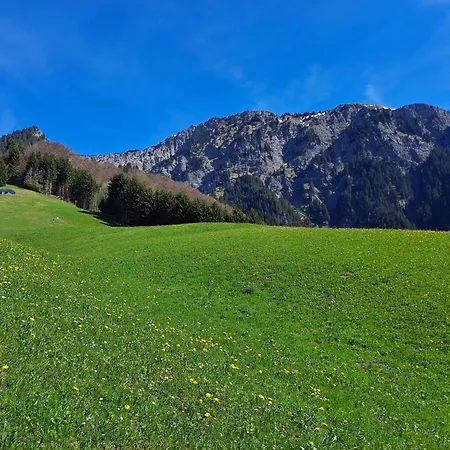 Casa vacanze Ulmi's Tiny Haus Dalaas