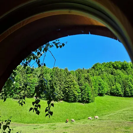 Ulmi's Tiny Haus Dom wakacyjny *