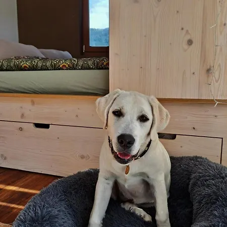 Ulmi's Tiny Haus Dom wakacyjny Dalaas