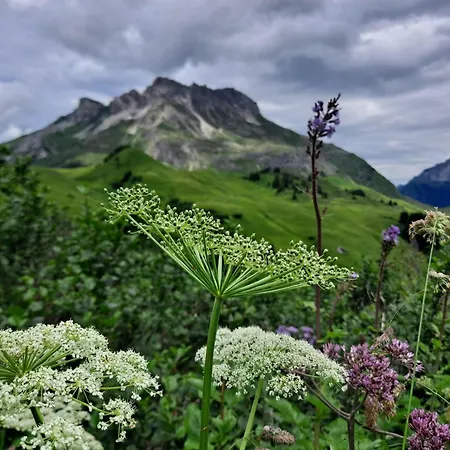 Ulmi's Tiny Haus Dalaas