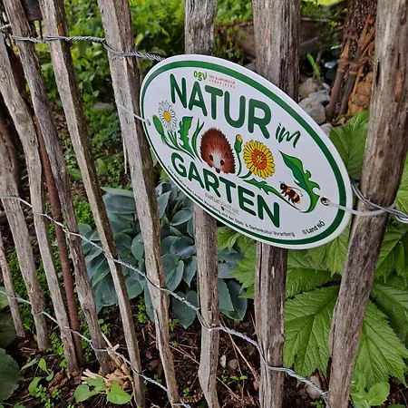 Ulmi's Tiny Haus * Dalaas