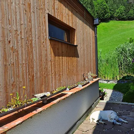 Dom wakacyjny Ulmi's Tiny Haus *