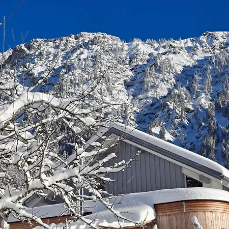 Ulmi's Tiny Haus * Dalaas